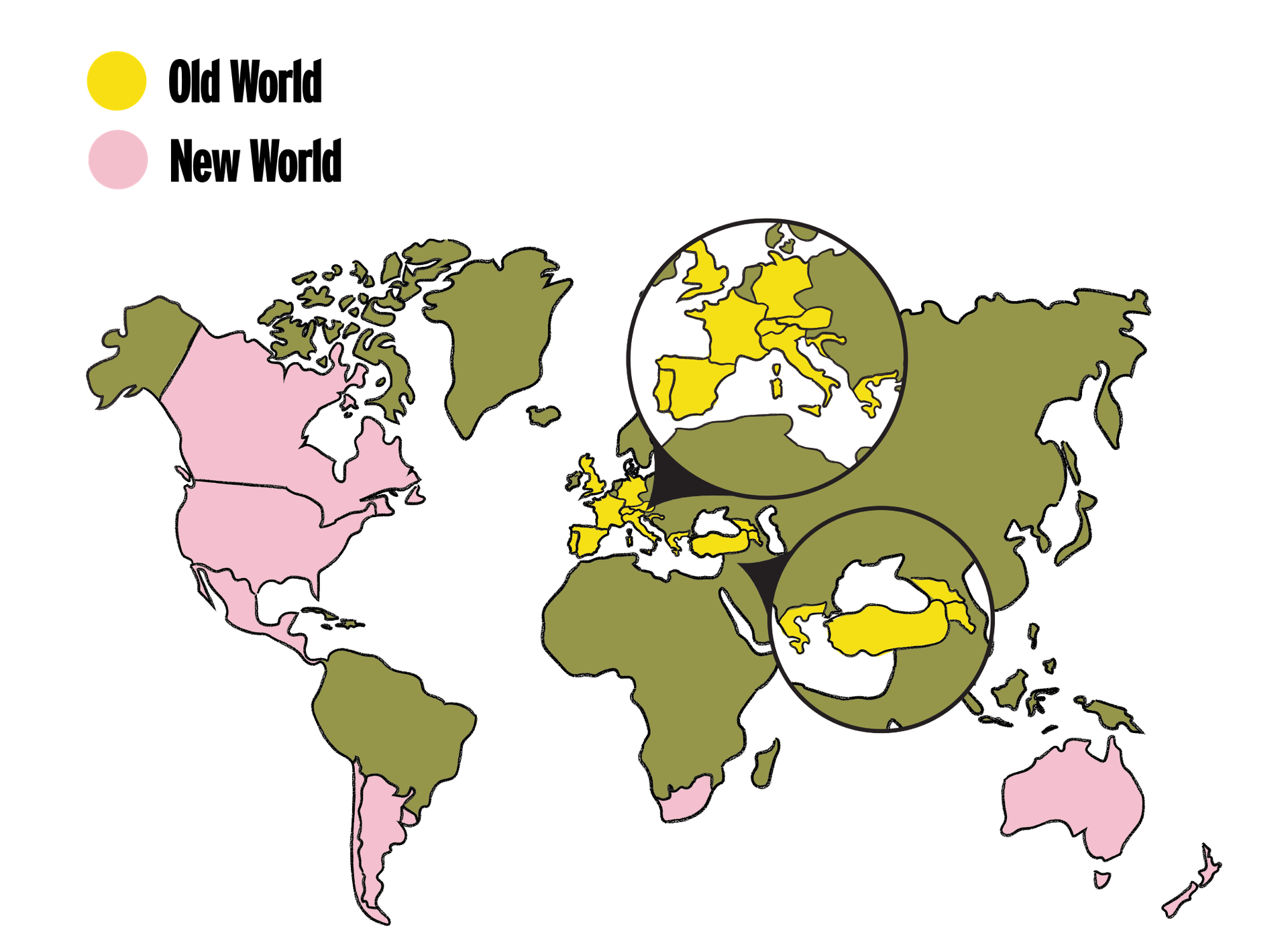 Chapter 4 - Old World vs New World 👴🏼🍷👶🏼