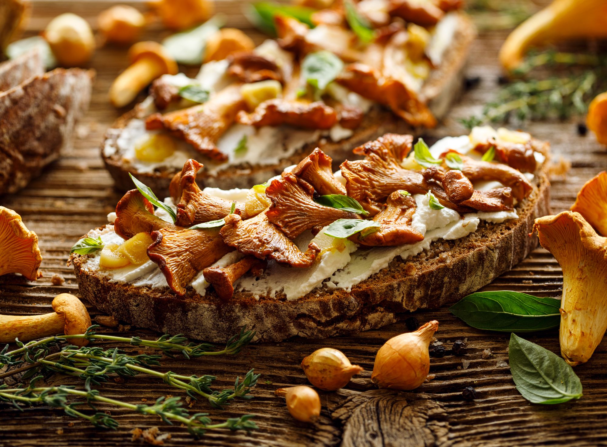 Wild Mushrooms on Toast with Horseradish Labneh