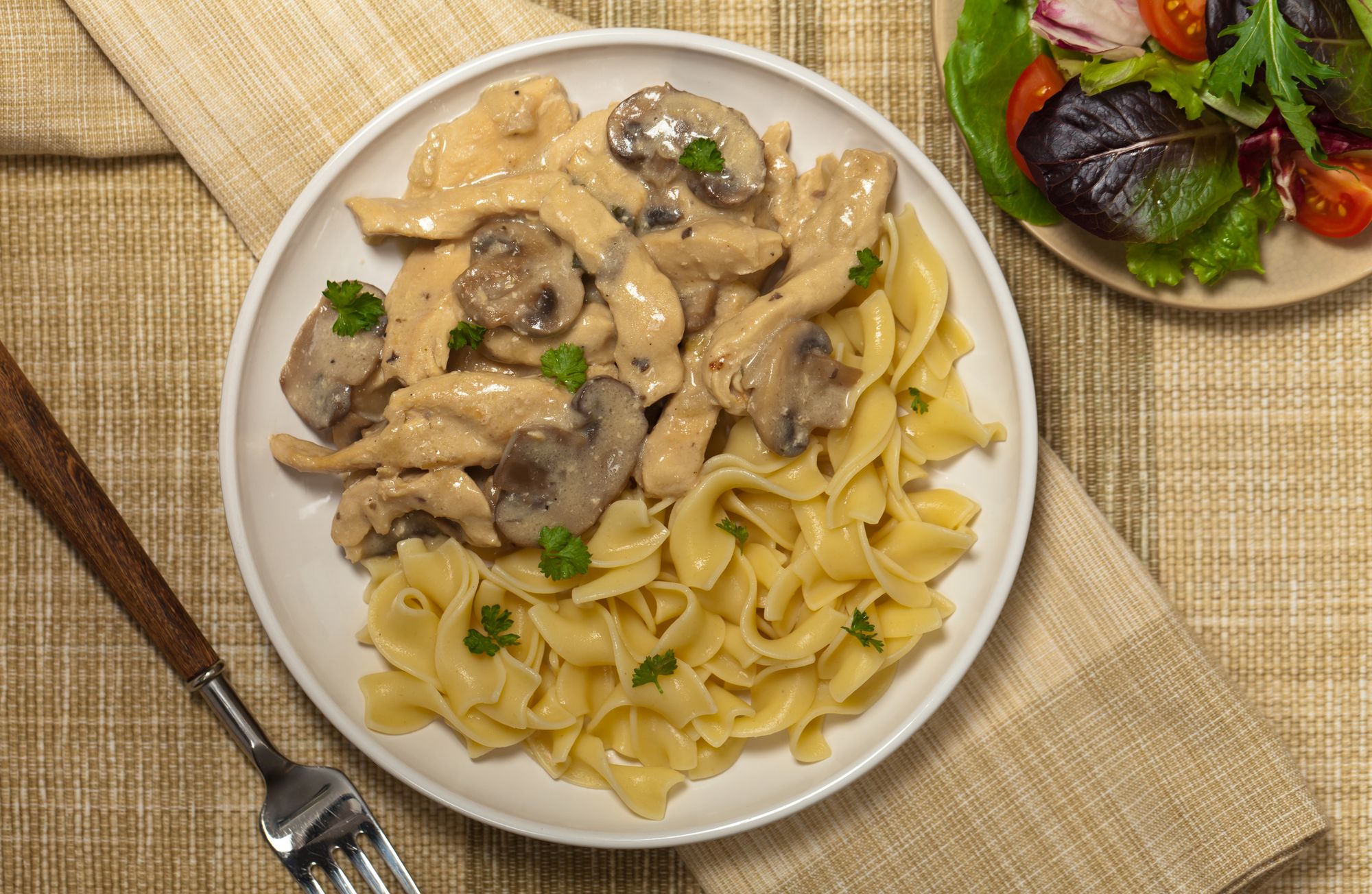 Stroganoff Chicken with Pasta