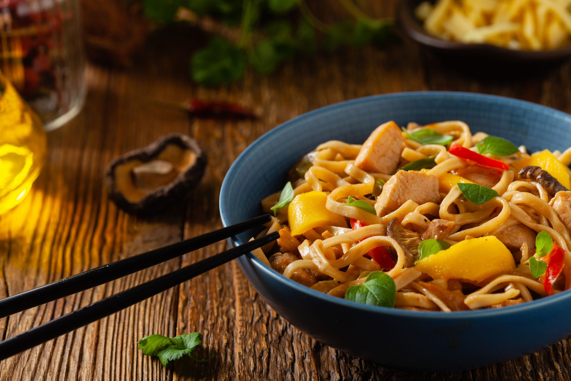 Chicken and Ginger Udon