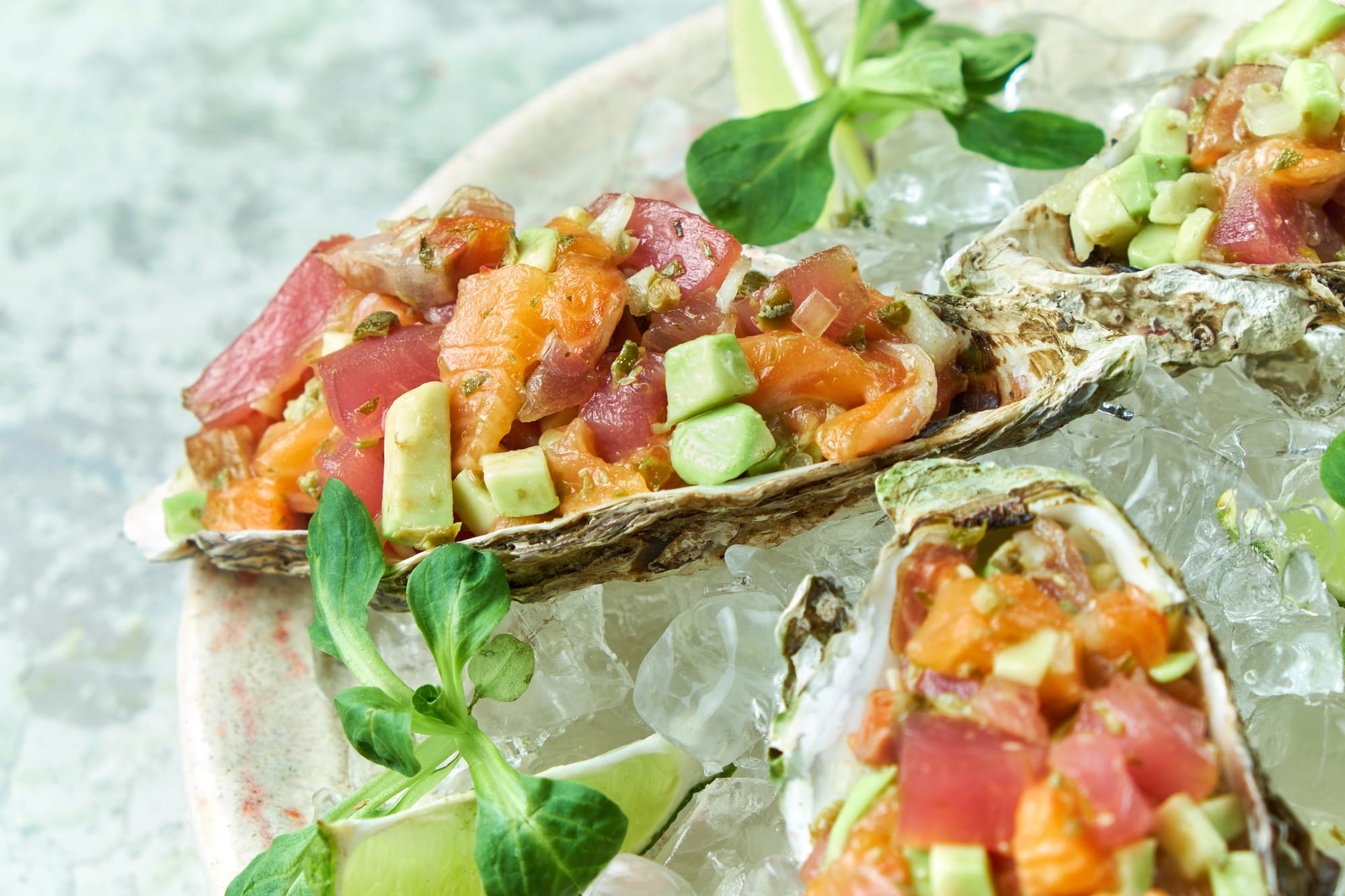Oysters with Avo, Smoked Salmon and Sour Cream