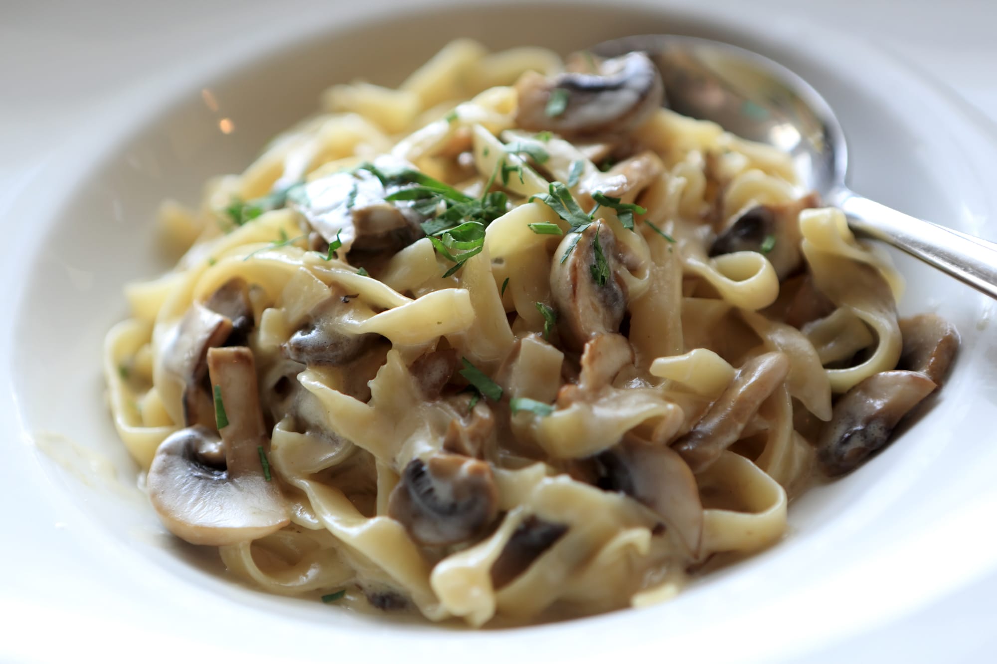 Vegan Creamy Mushroom Spaghetti