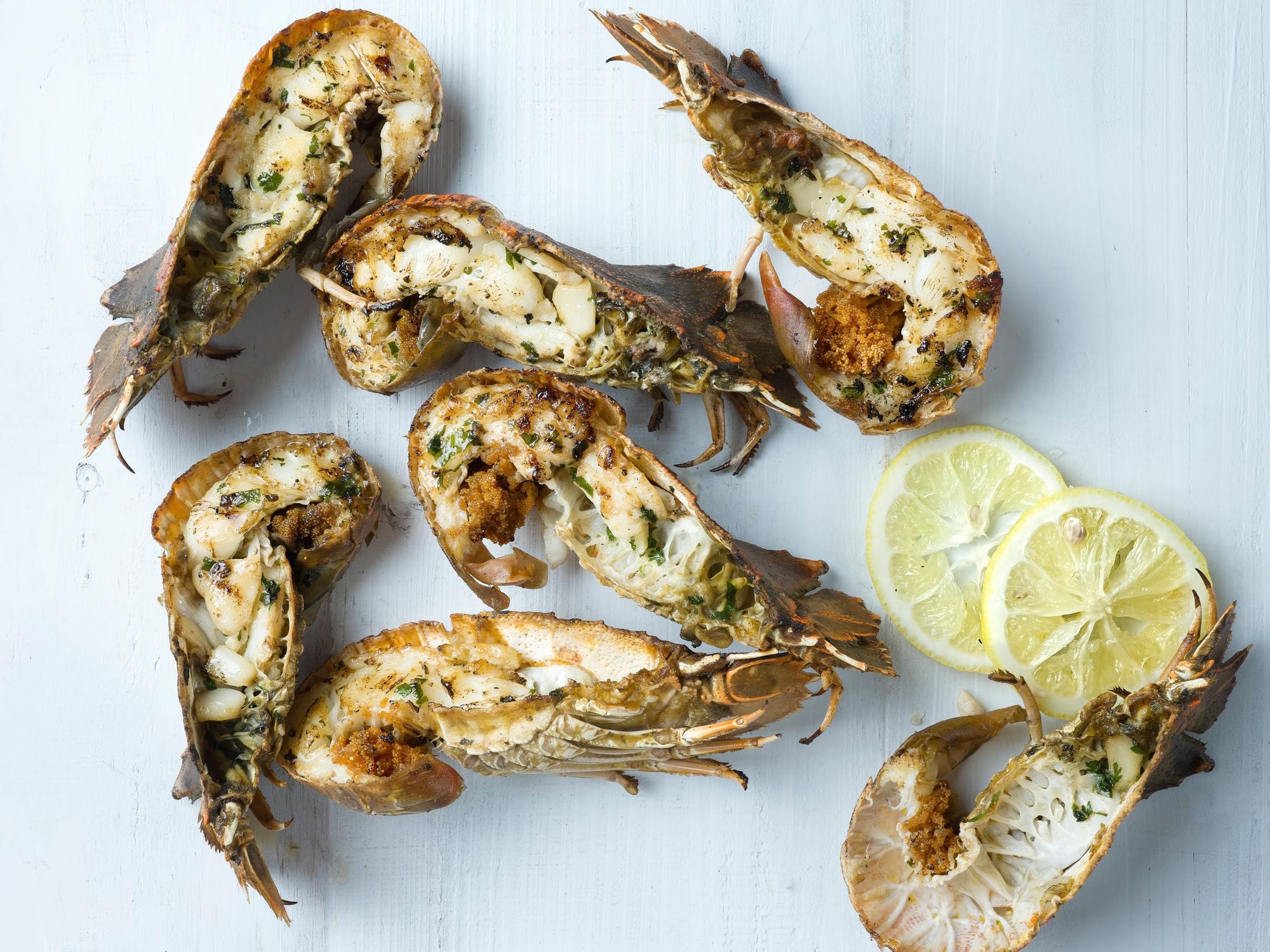 Moreton Bay Bug Mornay