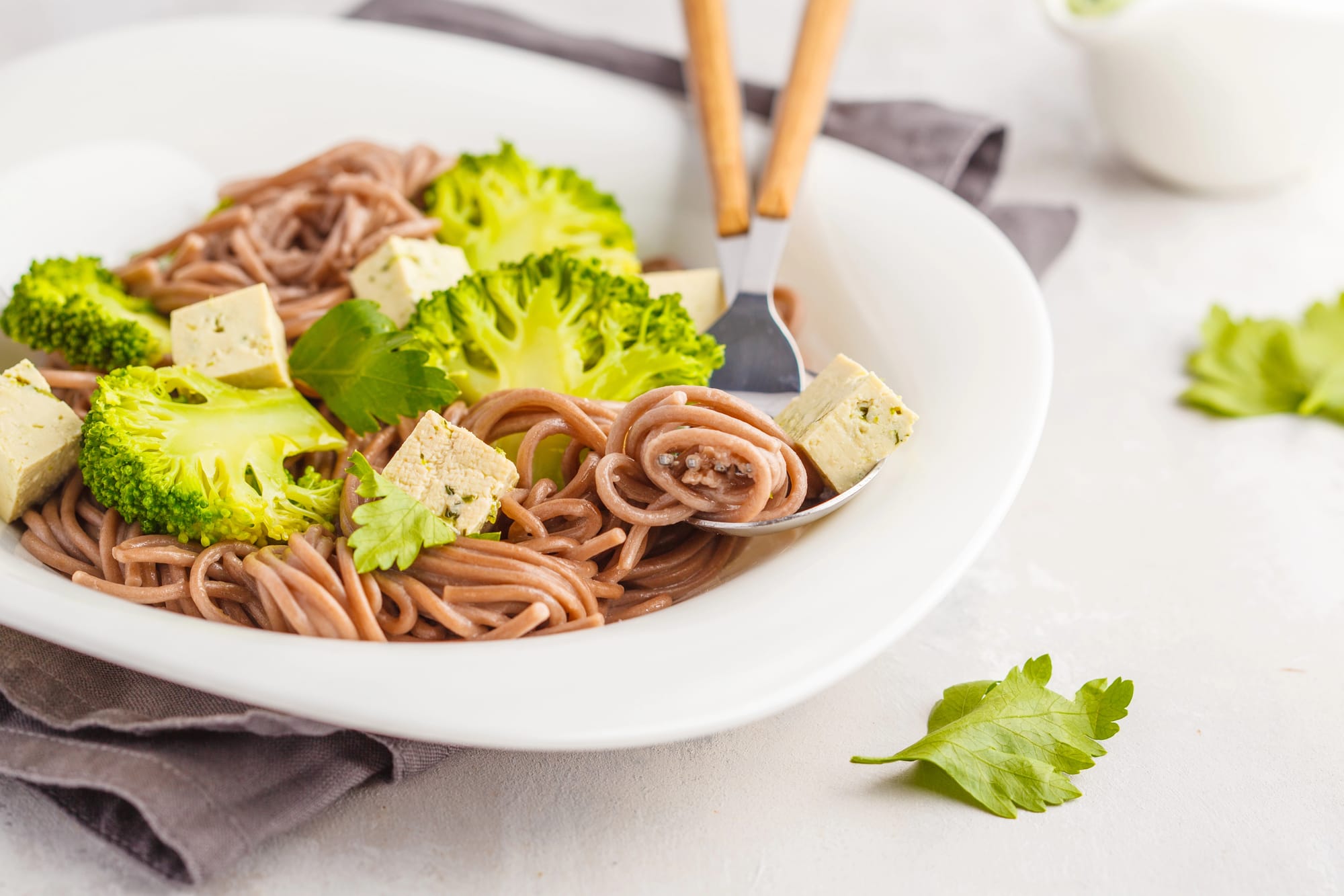 Vegan Soba Noodles with Coriander
