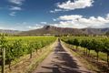 Five Wineries to Visit in Hunter Valley