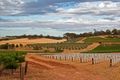 Top 5 Wineries to Visit in Barossa Valley