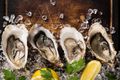 Oysters with Coriander and Passion Fruit