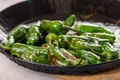 Perfect Padron Peppers Side