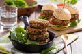 Beef and Veggie Burgers