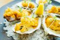 Coconut Crumb Oysters