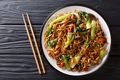 Vegetable Yaki Udon Noodles