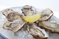 Oysters with ‘Hot Ice’