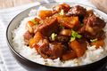 Pineapple Adobo Pork