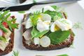 Smoked Trout with Crème Fraîche and Pickled Cucumber on Rye