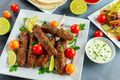 Spiced Lamb Kofta with Yoghurt and Mint Sauce