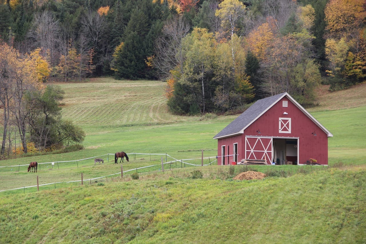 What do we mean by "community"? - Commonplaces
