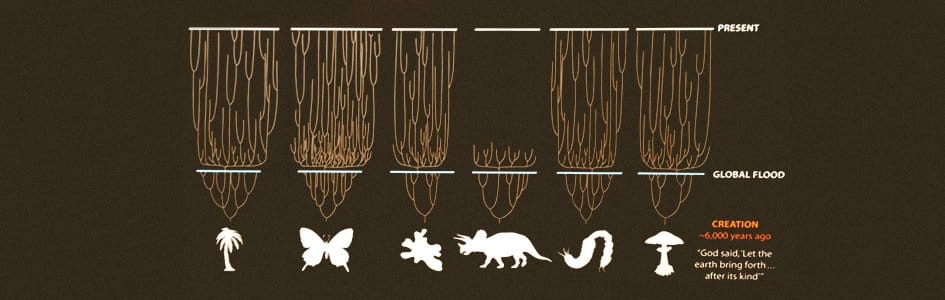 speciation at Answers in Genesis