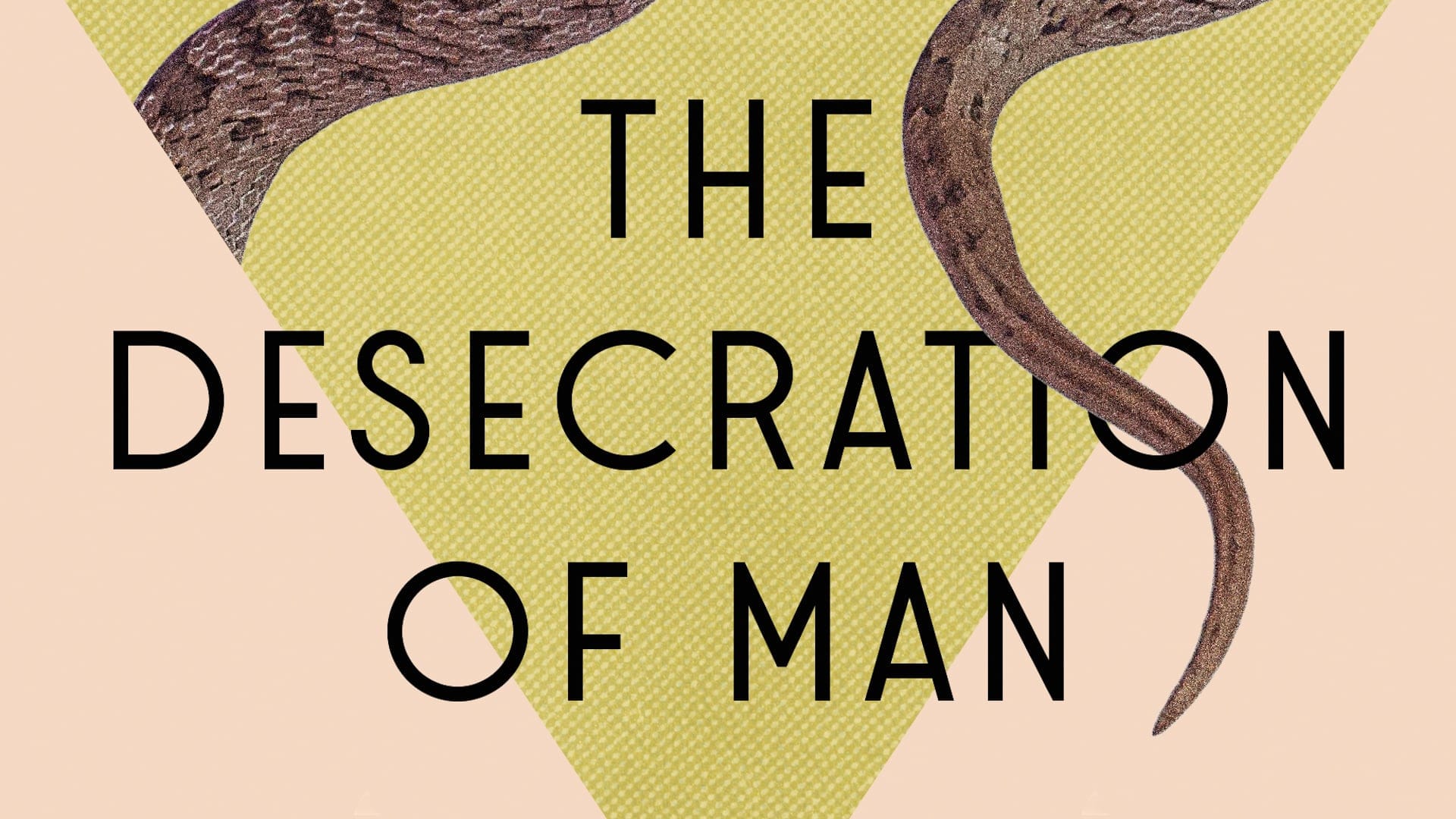The Insufficiency of Reenchantment