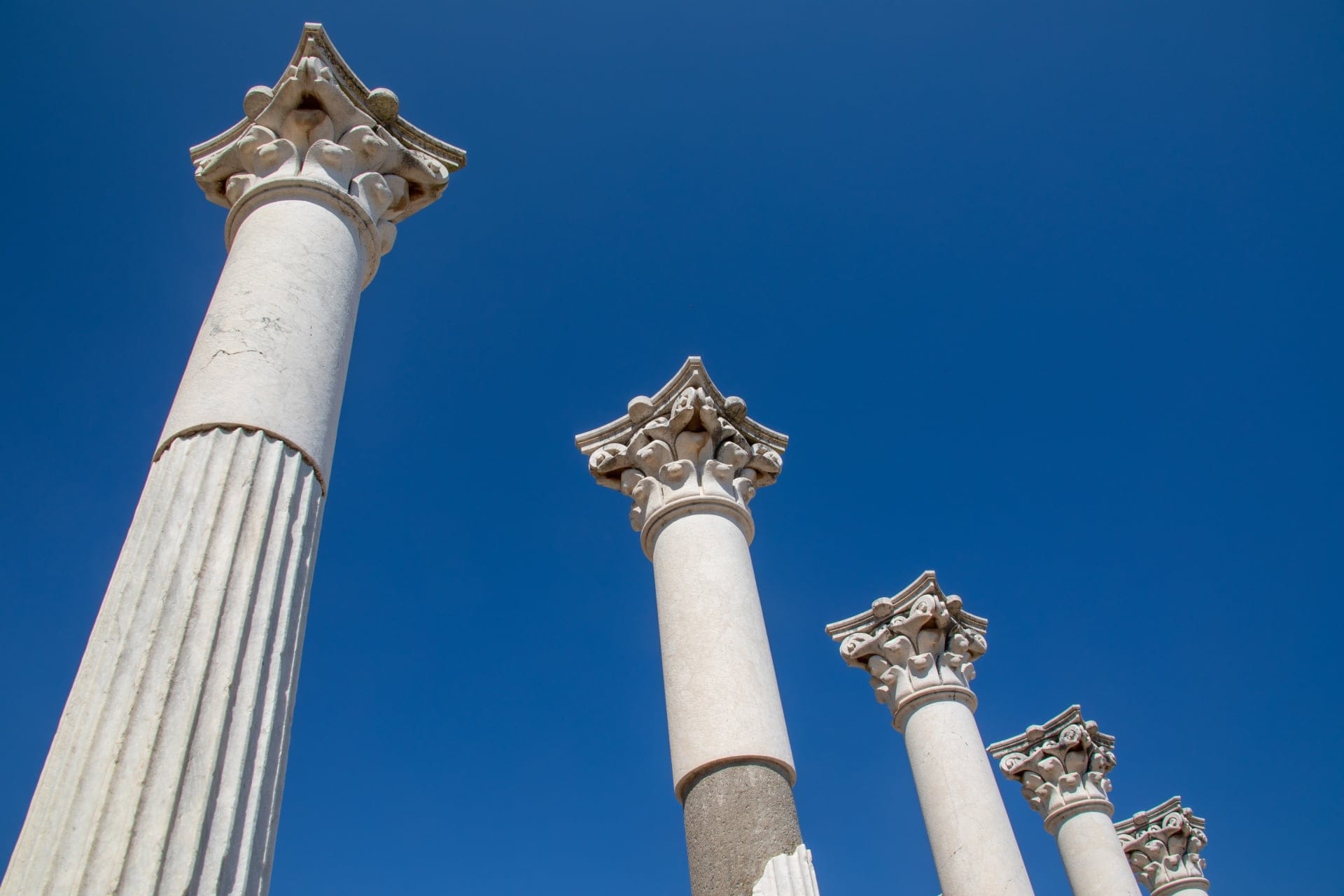 Is a Classical Education 'Useful'?