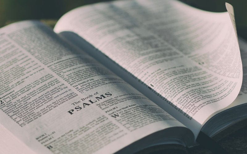 Formed by Song: How Music Shapes the Christian Life