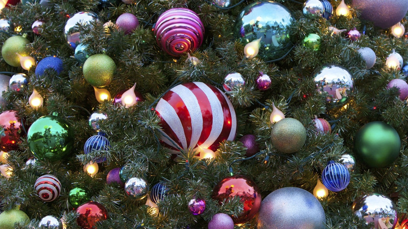 No Other Means: An Advent Reflection