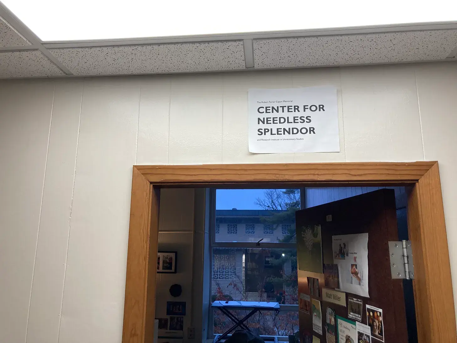 New Initiatives at the Center for Needless Splendor