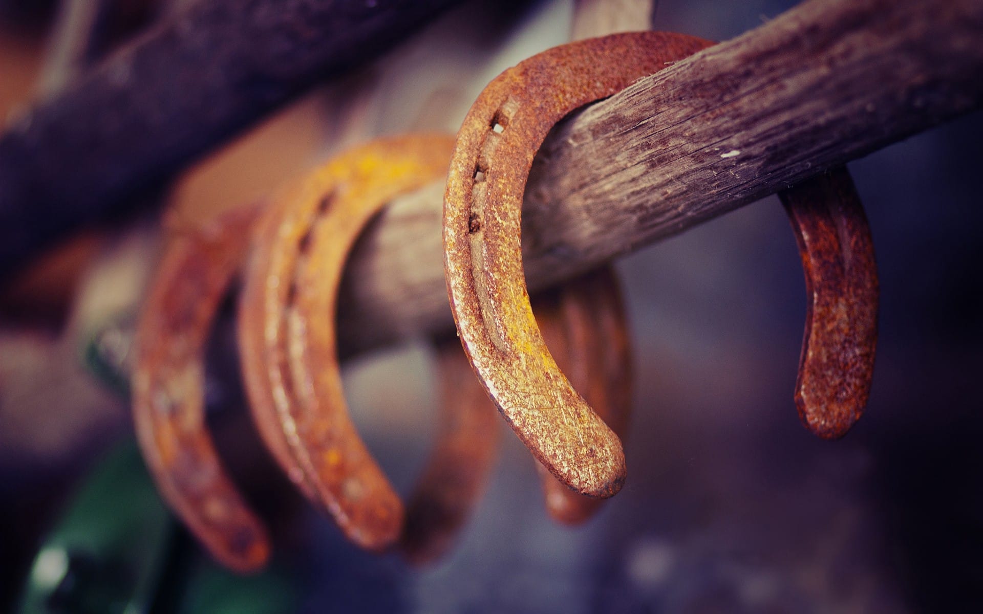 Leadership Challenges in the Horseshoe