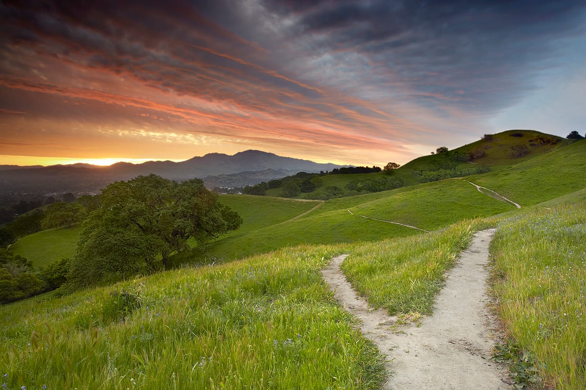 Two Roads in Christian Discipleship