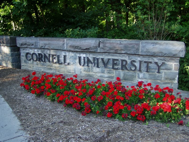 Cornell's Secular Sabbath