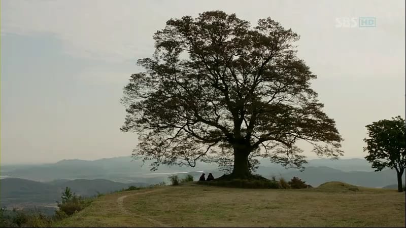 Does Maturity Still Matter? - Mere Orthodoxy | Christianity, Politics, and Culture