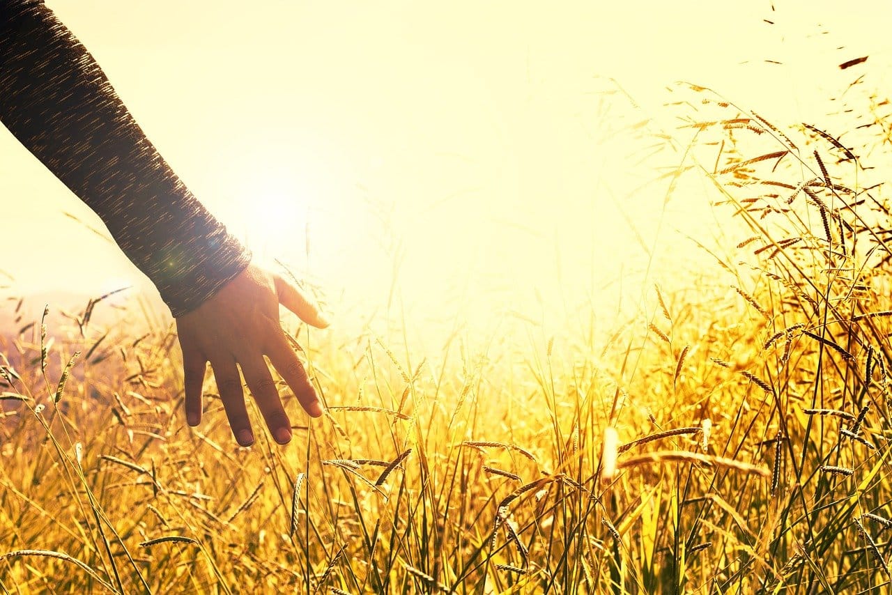 The Right Instructions - Mere Orthodoxy | Christianity, Politics, and Culture