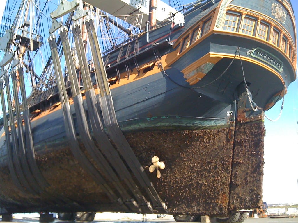 The Barnacle Problem - Commonplaces