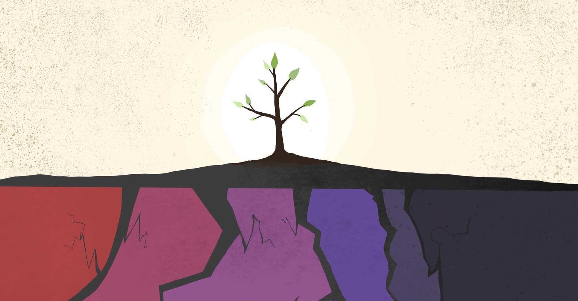 One Year Later: Reflecting on Evangelicalism's Six-Way Fracturing - Mere Orthodoxy | Christianity, Politics, and Culture