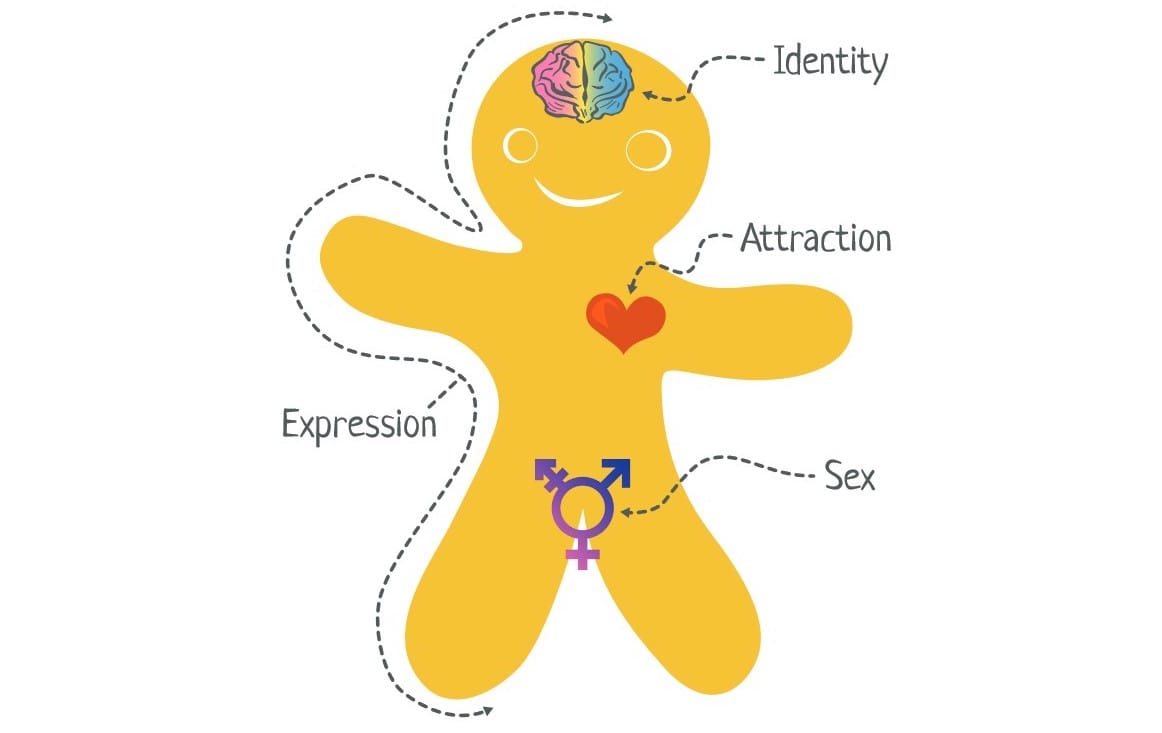 In Defense of the Gender Binary - Mere Orthodoxy | Christianity, Politics, and Culture