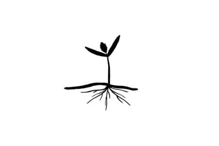 Sacred Season: Episode 11
