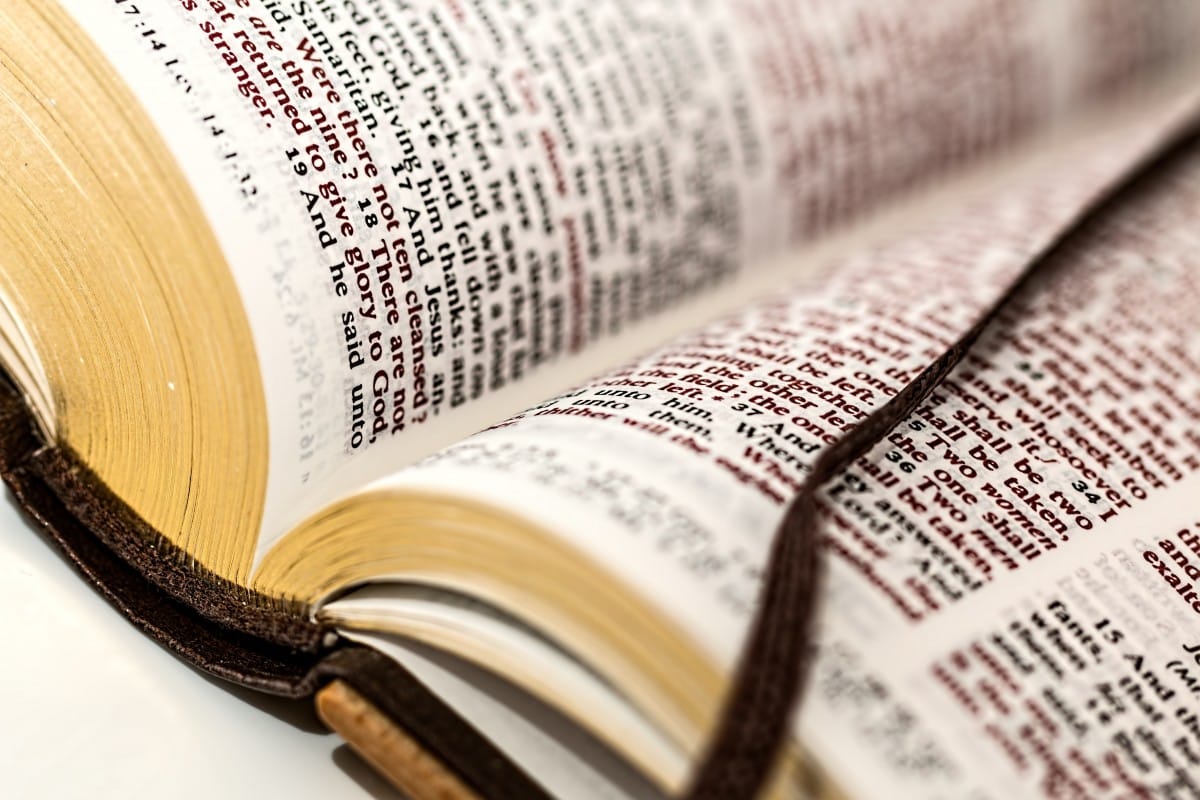 Book Review: Sanctifying Interpretation by Chris E. W. Green - Mere Orthodoxy | Christianity, Politics, and Culture