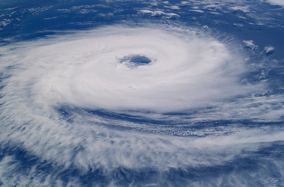 The Virus and the Earth | Mere Orthodoxy