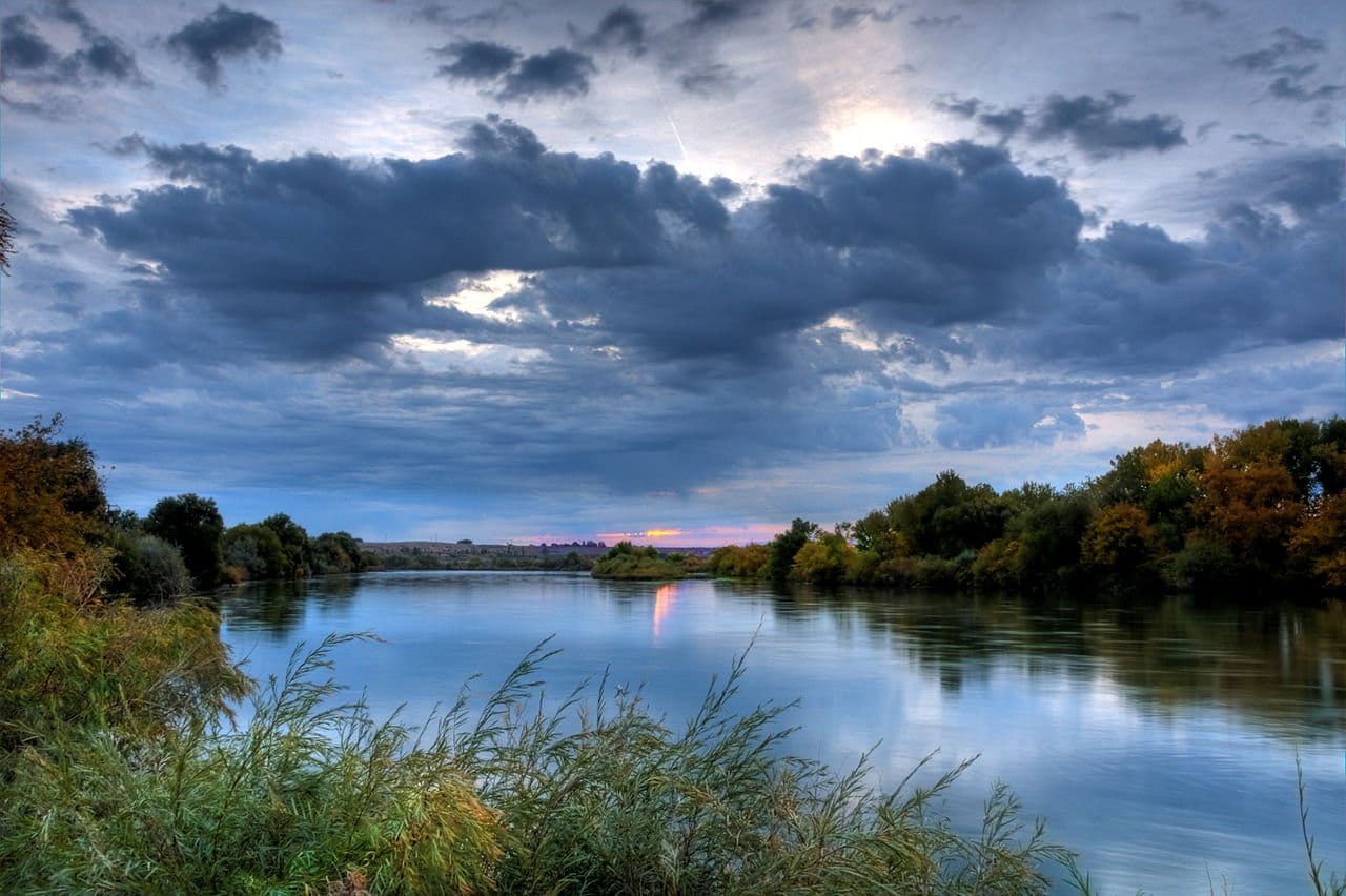 Mere Fidelity: A Bible Study on Genesis 1 - Mere Orthodoxy | Christianity, Politics, and Culture