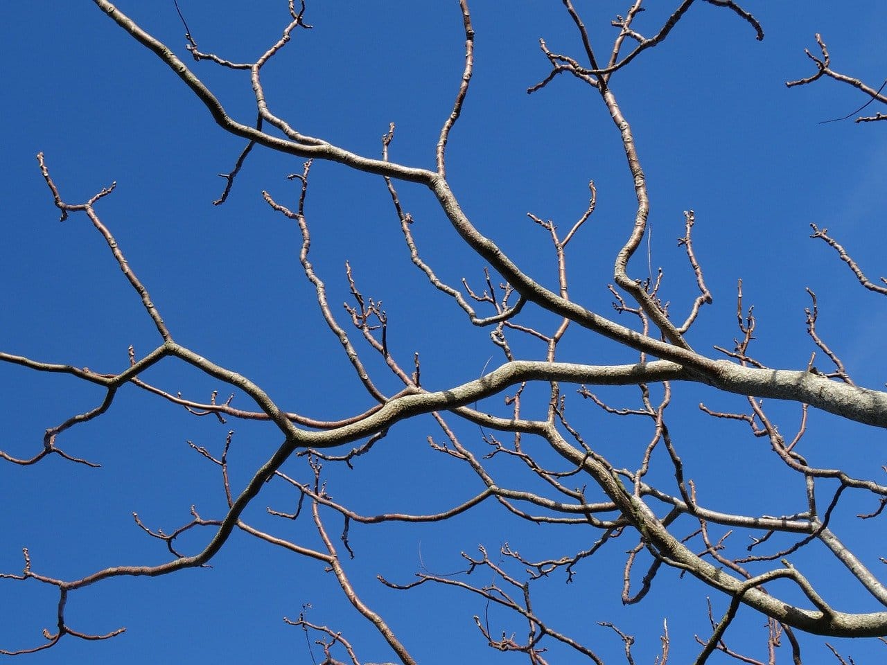 Neglecting the Body and Ignoring Nature-Thoughts on Complementarianism - Mere Orthodoxy | Christianity, Politics, and Culture