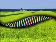 Genetically Modified Food: Mark Lynas and Your Inner Luddite