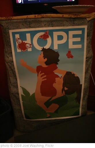The Meaning of the 2012 Election