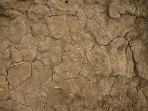 Lent and the Joys of Self-Control