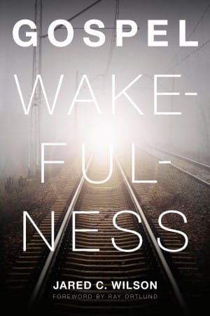 Christ in the Mud Pies: Interacting with Gospel Wakefulness (Pt. 1)