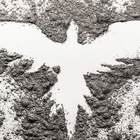 Ashes