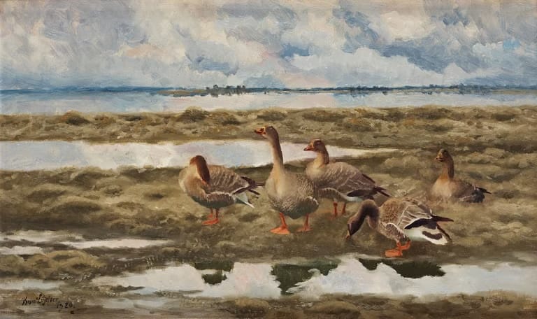 The Shepherd and the Duck Woman