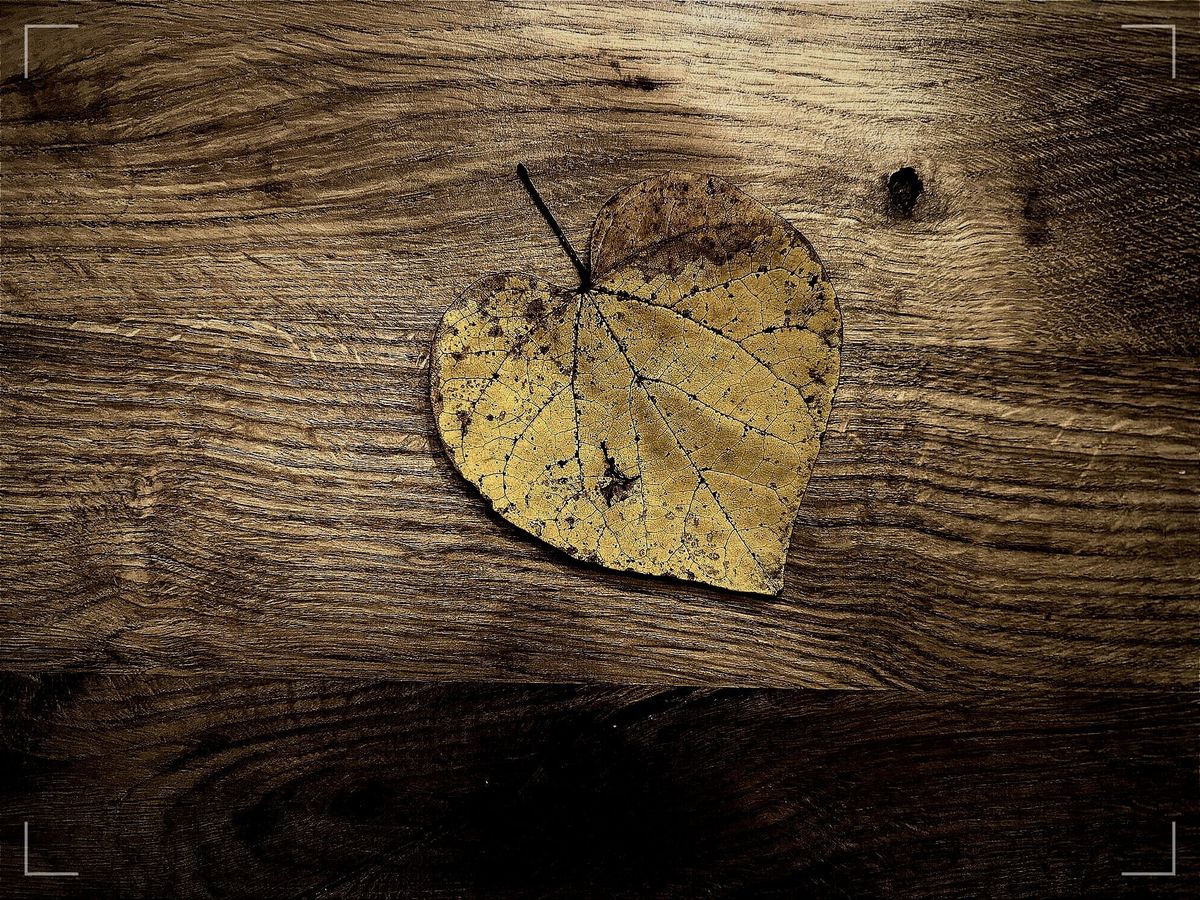 Missive: Shadows or shards,  no seed