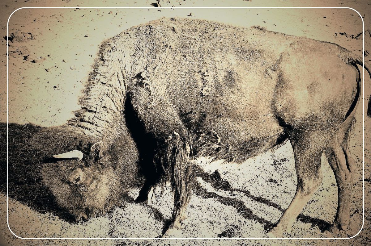 Chapter IX: Epilogue + Genesis: Sisyphus—pleased to meet you.