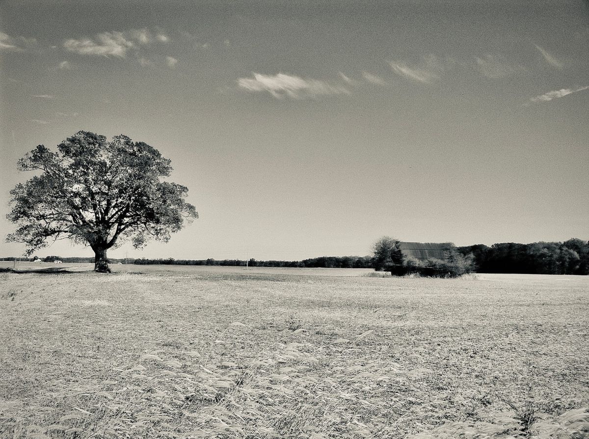 Chapter IV: Fiddler’s Cut