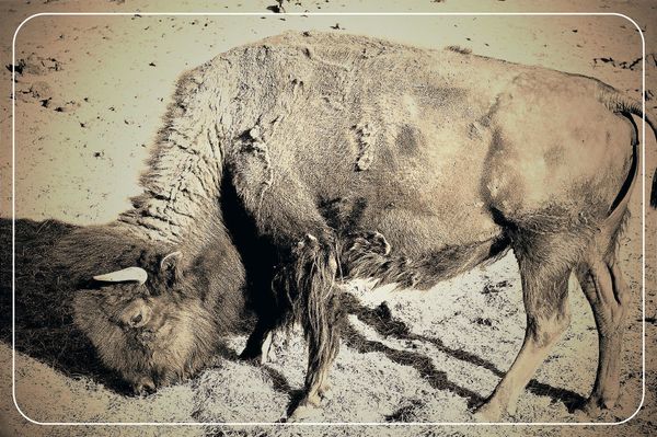 Chapter IX: Epilogue + Genesis: Sisyphus—pleased to meet you.