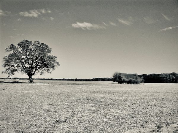 Chapter IV: Fiddler’s Cut